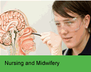 Health, Engineering and Science