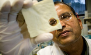 Expert Dairy Researcher Professor Nagendra Shah Expert Dairy Researcher Professor Nagendra Shah