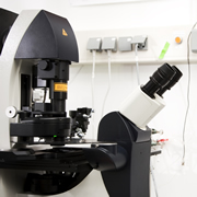 Laser microscope