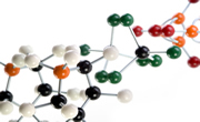Polymer research molecular model