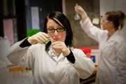 Biomedical Scientists at work