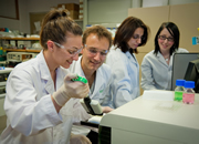 BioLED facilities