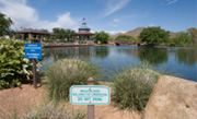 Wetlands