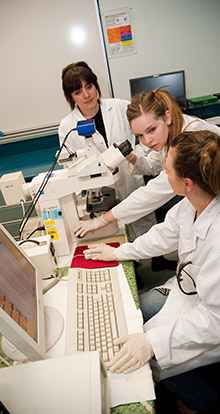 Three students discussing results of a test