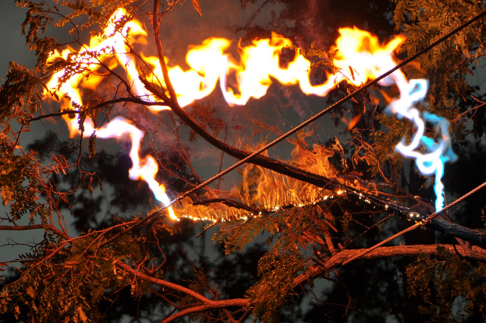 Fighting bushfires with research Victoria University