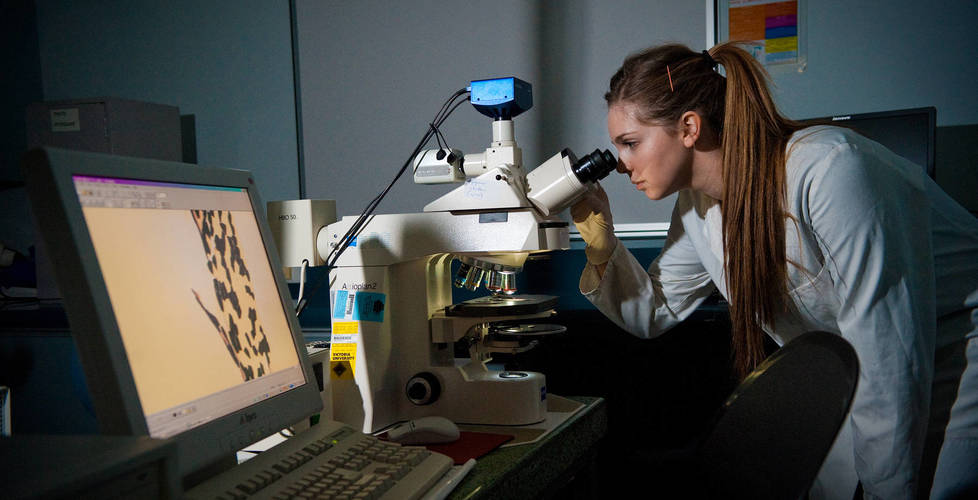 Vu research portal picture