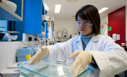 Researcher working in lab