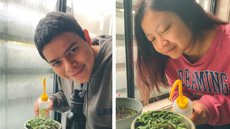  Jack and Chau with their chilli plants
