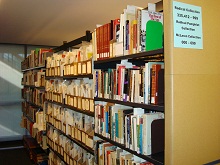 The Radical Collection