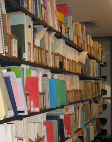 The PNG Collection in 2010