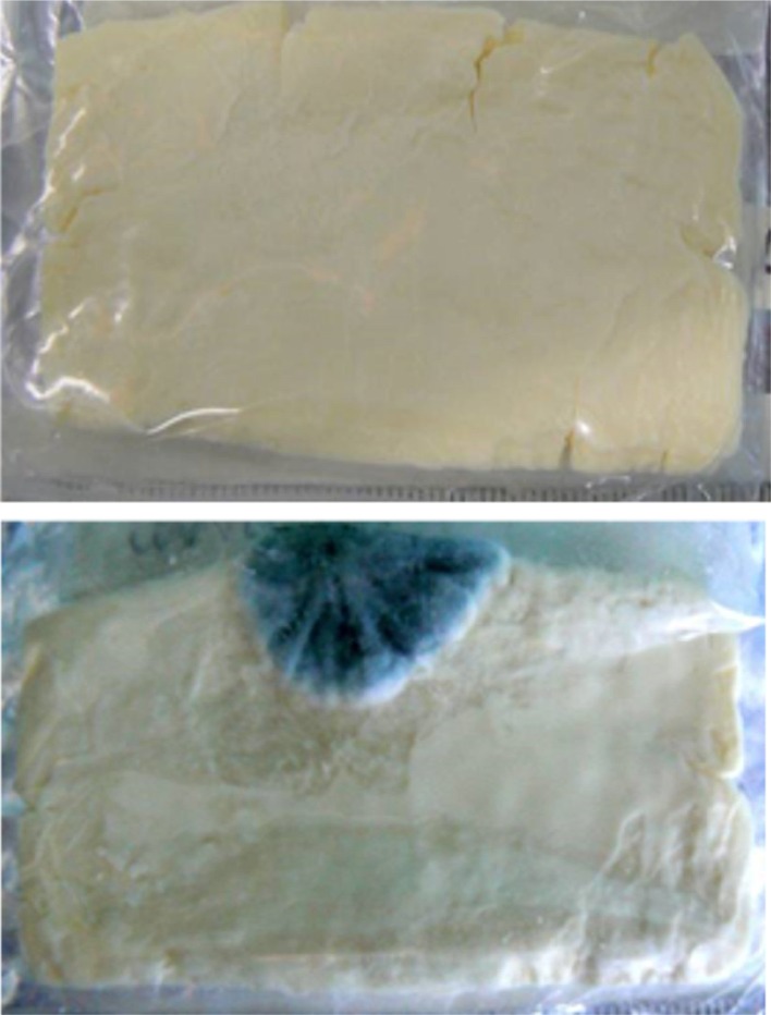  two examples, the first with no mould growth, the second with clearly visible mould growth