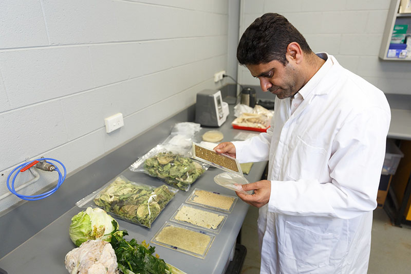  VU RISE researcher investigates creating boards and flexible trays from agricultural wastes and residues.