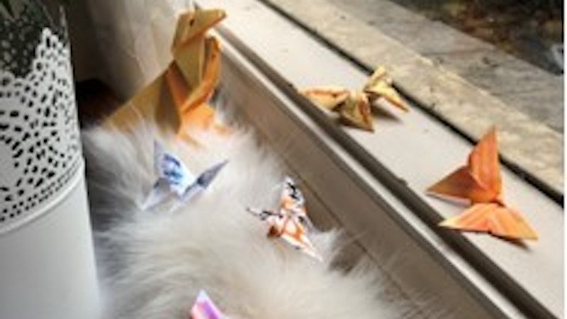 Resuree Wijesundera's origami. 