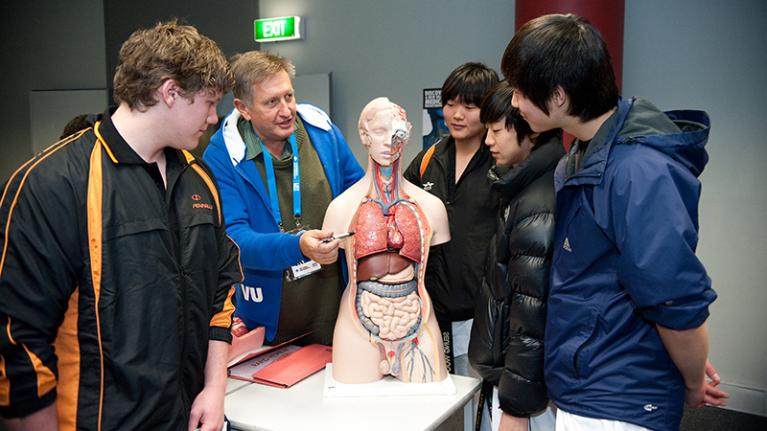 group of students and teacher examining anatomy model