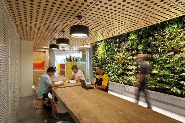  Sunshine Campus green wall