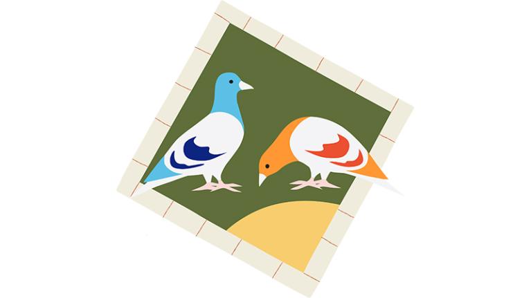 An artist's depiction of two pigeons in Maddern Square.