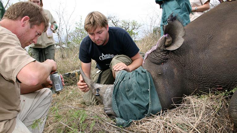 Rhino environmental protection work