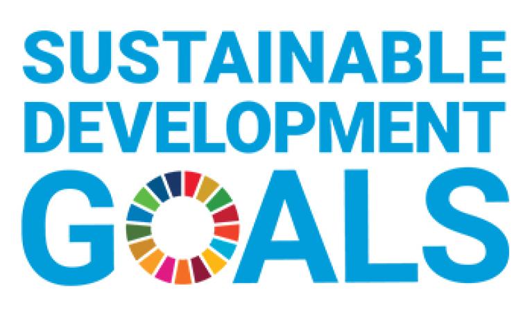 The UN Sustainable Development Goals logo