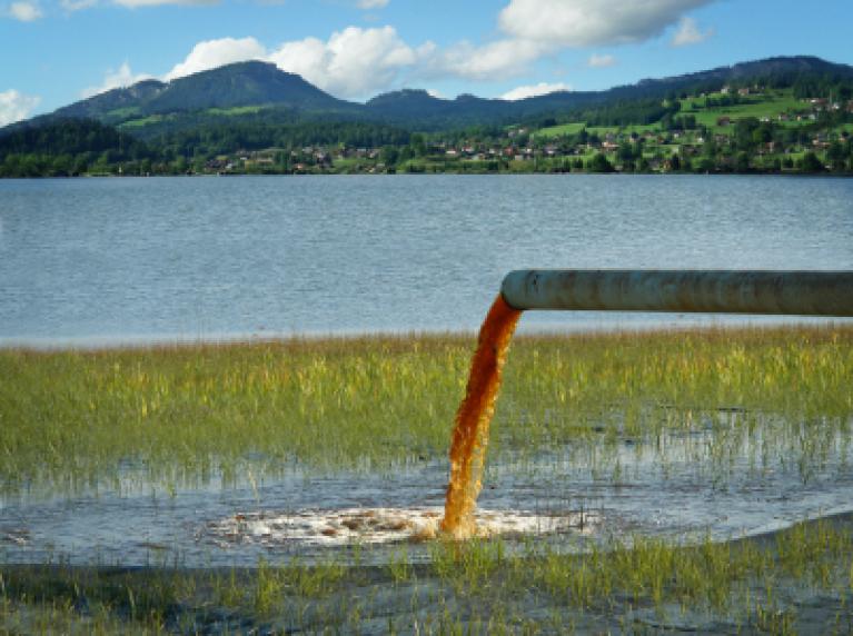 Water pollution