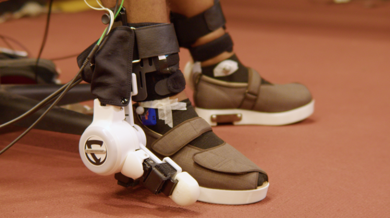 Ankle exoskeleton