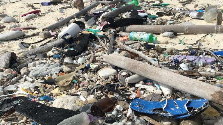 Almost all the plastic waste washing onto shore is single use plastic.