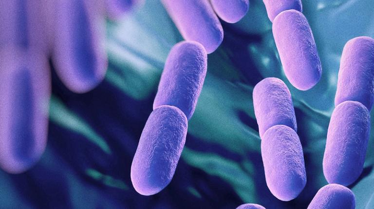 Probiotics can help with auto-immune conditions Probiotics can help with auto-immune conditions