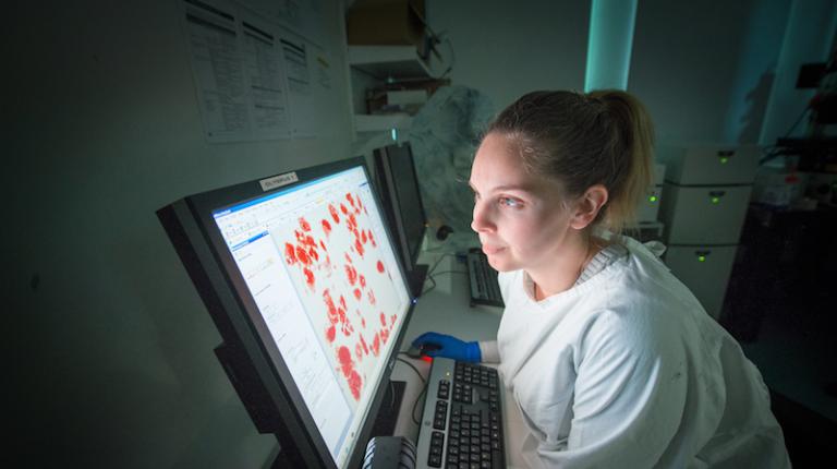 More VU research judged as world-class than ever