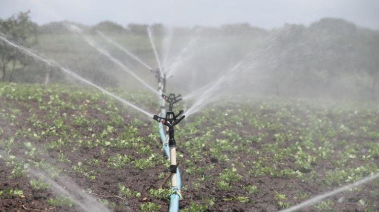 Agricultural exports contain significant 'virtual water' agricultural irrigation