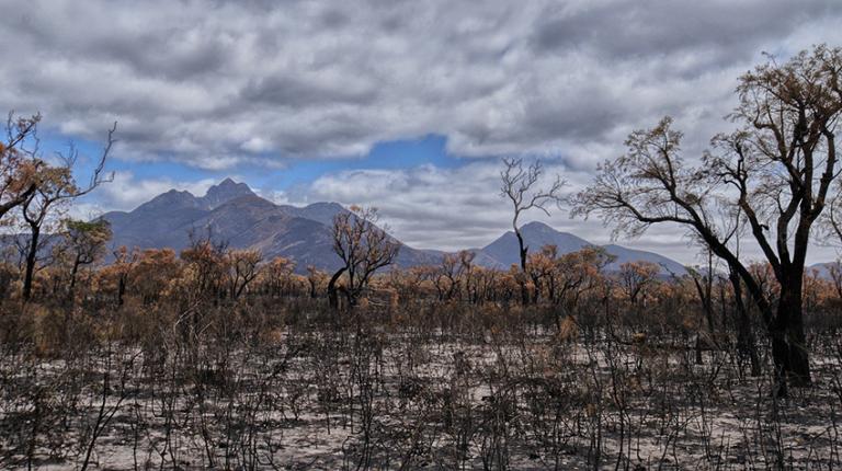 Framework helps communities decide what's valuable during emergencies Burnt Australian landscape