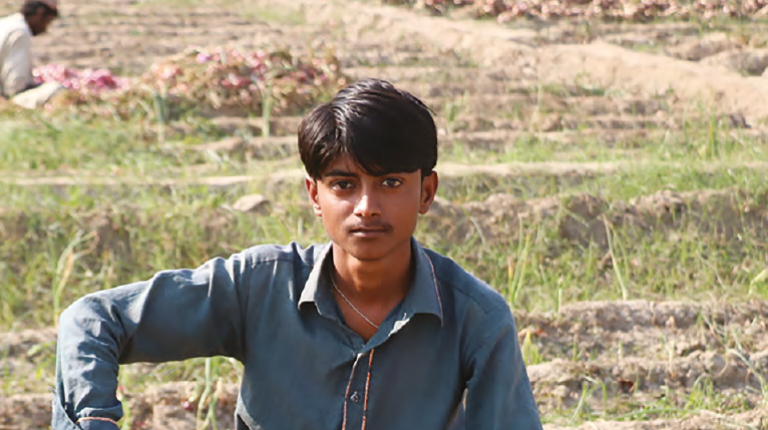 The transformation of the smallholder sector in Pakistan is now an imperative.