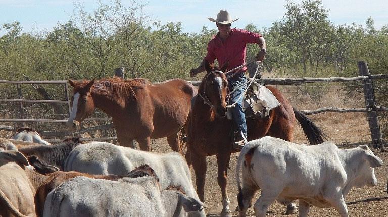 Rural and remote Australians missing out on the Medicare dollar