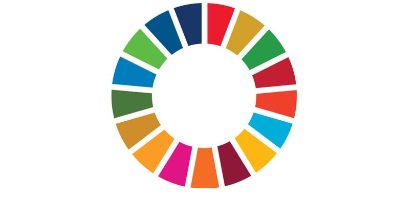 SDG logo, a colour wheel of 17 colours representing the different goals