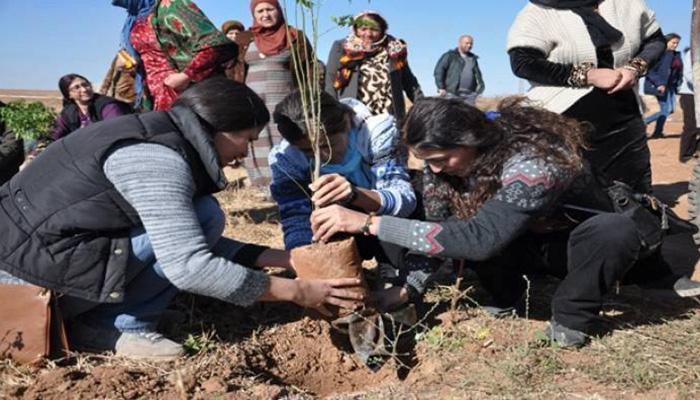 Kurdish women plant a tree
