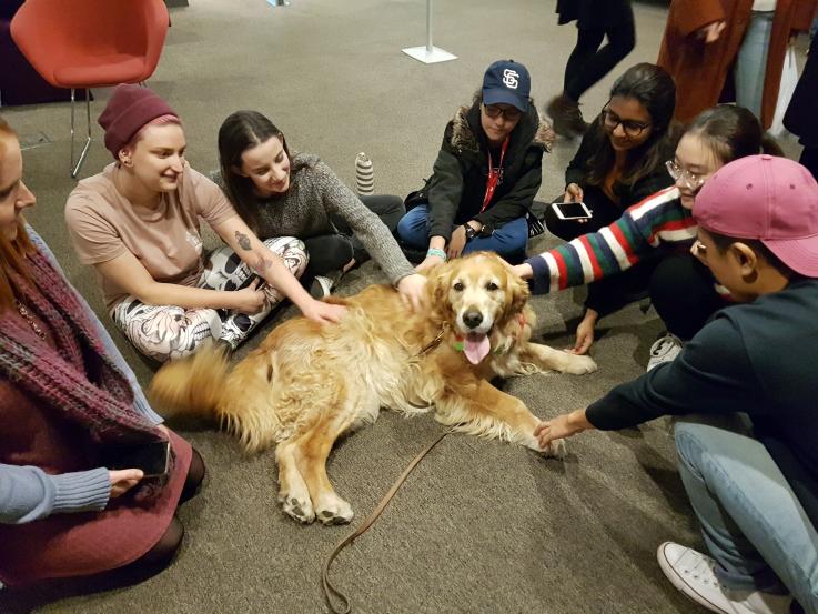 Therapy dogs are warm distraction for students in VU's annual De-Stress Festival