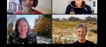 Four middle aged women collaborate in an online meeting