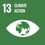 SDG infographic: text Goal number thirteen, climate action