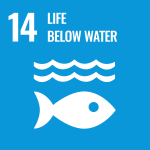 14 Life below water (fish & water icon)