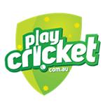 Play cricket logo
