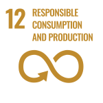 Text: 12 Responsible consumption and production; icon infinity symbol