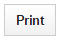 Print icon