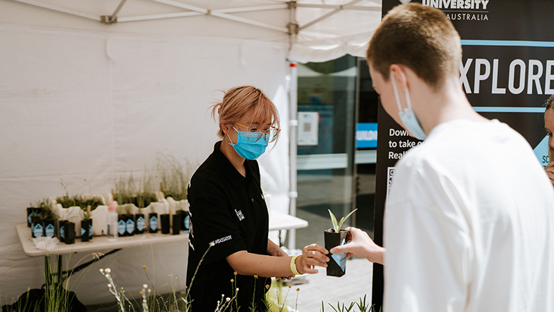 Student being handed a native plant seedling at VU Explore stall at Werribee campus